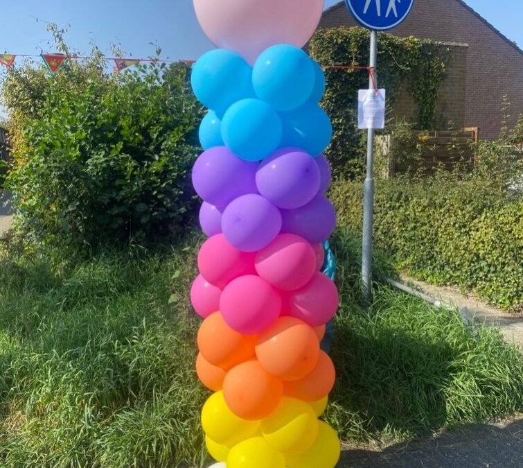 Buurtfeest Herderinnenpad